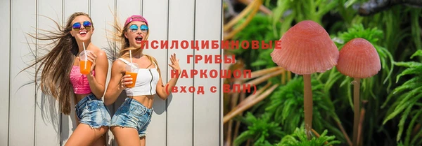 ПСИЛОЦИБИНОВЫЕ ГРИБЫ Баксан