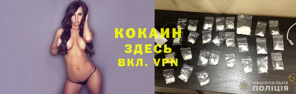 ПСИЛОЦИБИНОВЫЕ ГРИБЫ Баксан