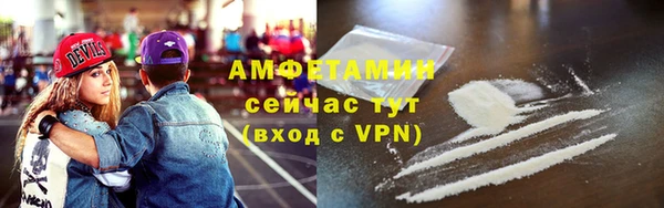 шишки Дмитровск